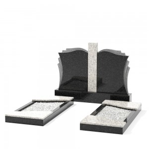 Эксклюзивный памятник Е-1.061